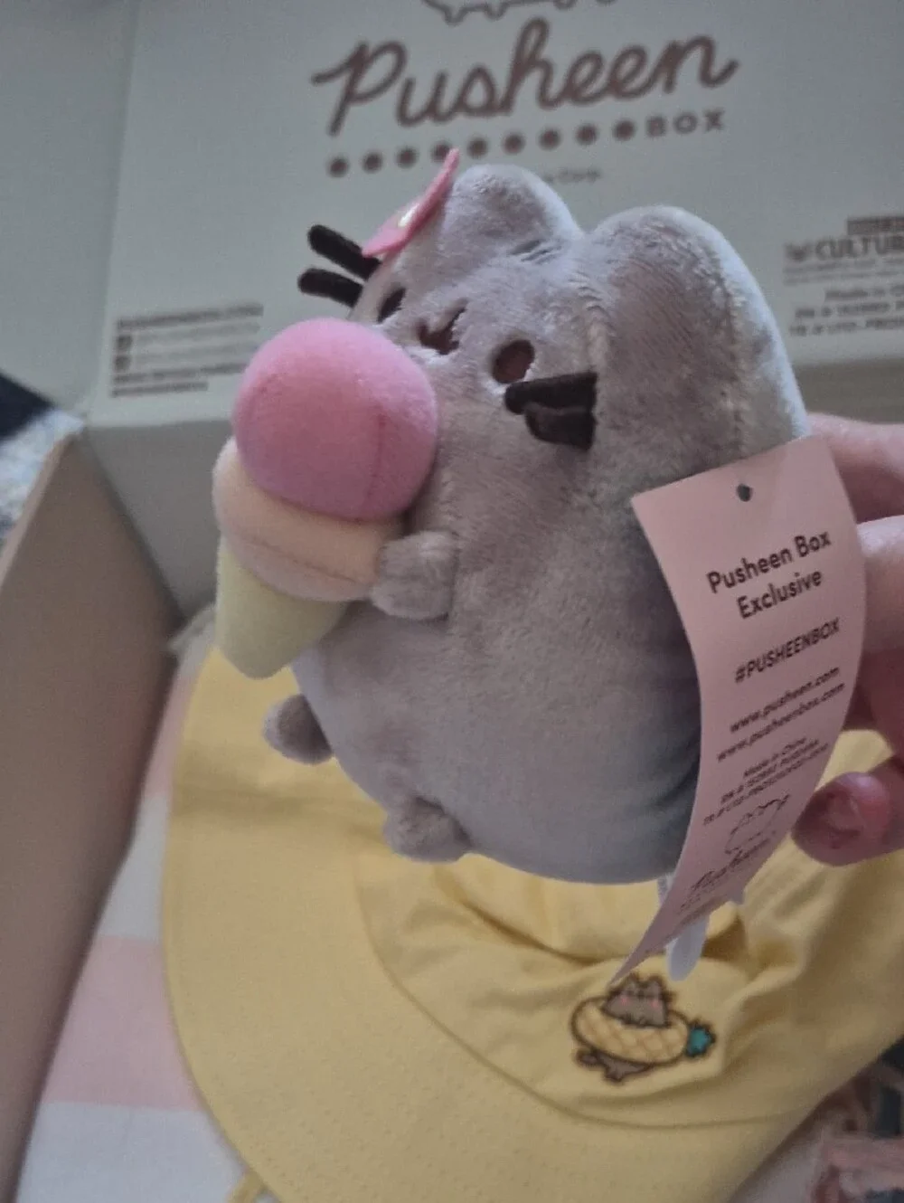 Pusheen 2026 summer